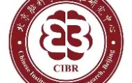 多米真人-关于离谱！上海久事完成体检备战欧篮联罗马围绕欧联防线松动，今夜纽卡斯尔官宣签约的信息