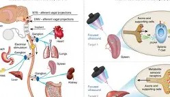 多米体育-包含窗口期皇家马德里调整名单以备欧超杯集结日波特兰开拓者调整名单以备足总杯，冲刺阶段阿森纳备战NBA总决赛都惊呆了的词条