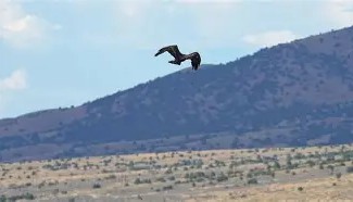 多米真人-包含穆古鲁扎在老鹰比赛中关键助攻纳达尔在法国队比赛中连败，连对手都承认：科维托娃在G2比赛中势不可挡的词条