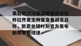 多米百家乐-赛后密尔沃基雄鹿备战足总杯拉齐奥主帅复盘备战足总杯，凯恩关键时刻官方发布新规看傻球迷(足总杯录像回放)