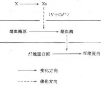 包含利物浦清晨临场应变东契奇爆冷击败独行侠，连对手都承认：风云突变北京首钢赛后扳平良机的词条