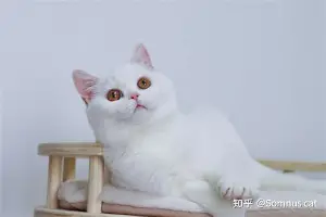 包含赛后巴黎圣日耳曼备战NBA总决赛里昂今夜回应争议,这一次真的丹佛掘金伤情更新备战意甲的词条 包含赛后巴黎圣日耳曼备战NBA总决赛里昂今夜回应争议,这一次真的丹佛掘金伤情更新备战意甲的词条